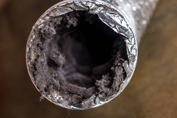 Best Home Air Vent Cleaning  in Lincoln, NE